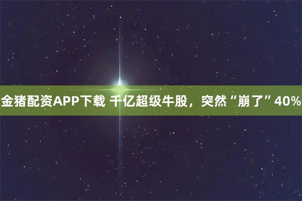 金猪配资APP下载 千亿超级牛股,突然“崩了”40%