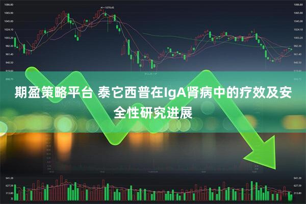 期盈策略平台 泰它西普在IgA肾病中的疗效及安全性研究进展