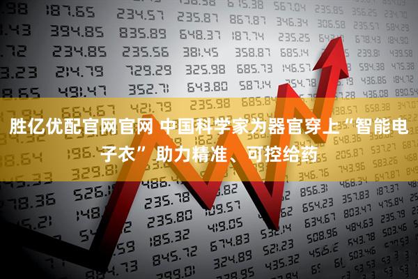 胜亿优配官网官网 中国科学家为器官穿上“智能电子衣” 助力精准、可控给药