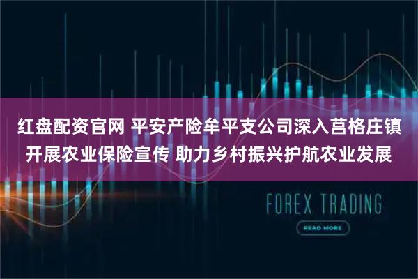 红盘配资官网 平安产险牟平支公司深入莒格庄镇开展农业保险宣传 助力乡村振兴护航农业发展